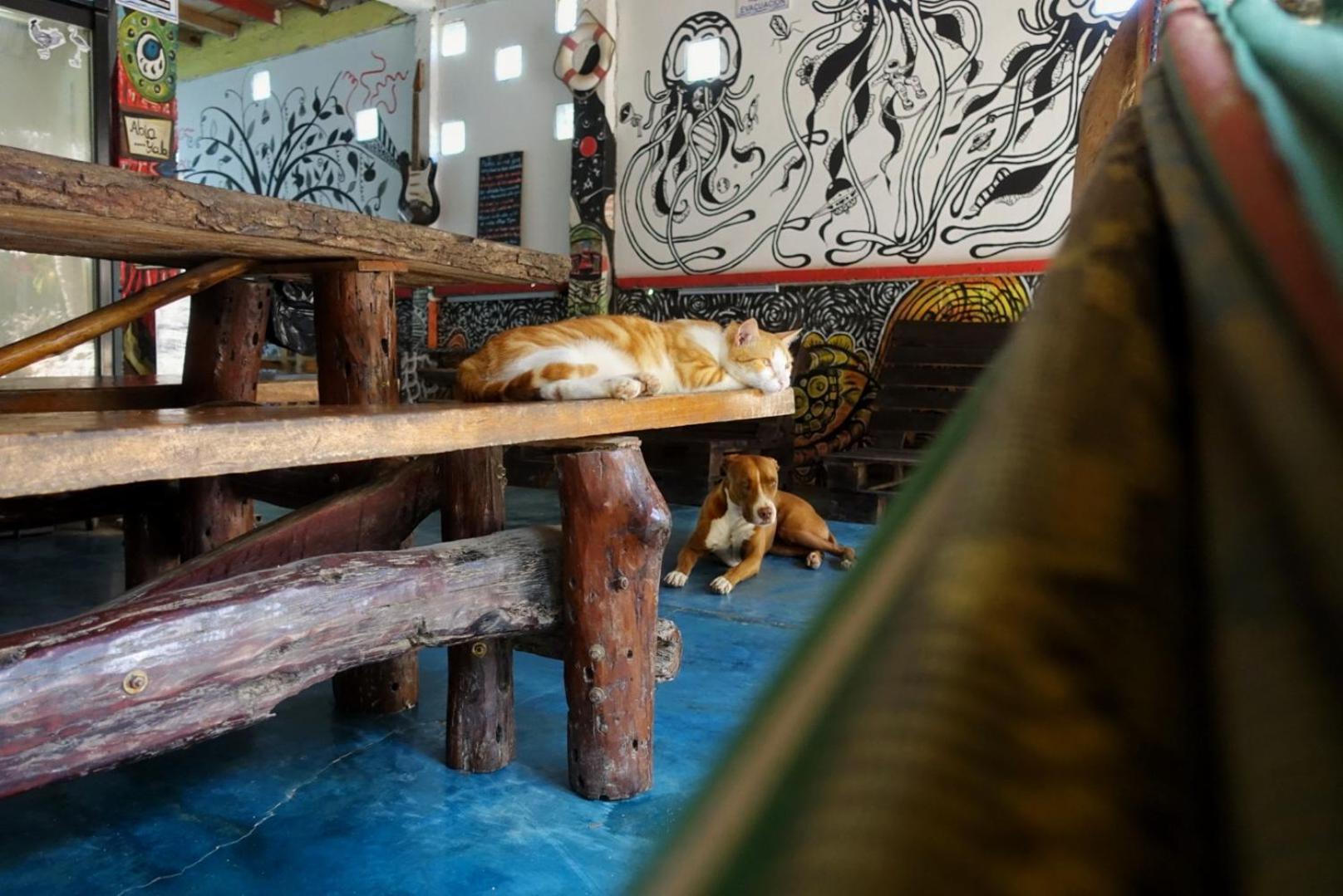 ホテル Casa Surf Mar Azul パロミノ エクステリア 写真