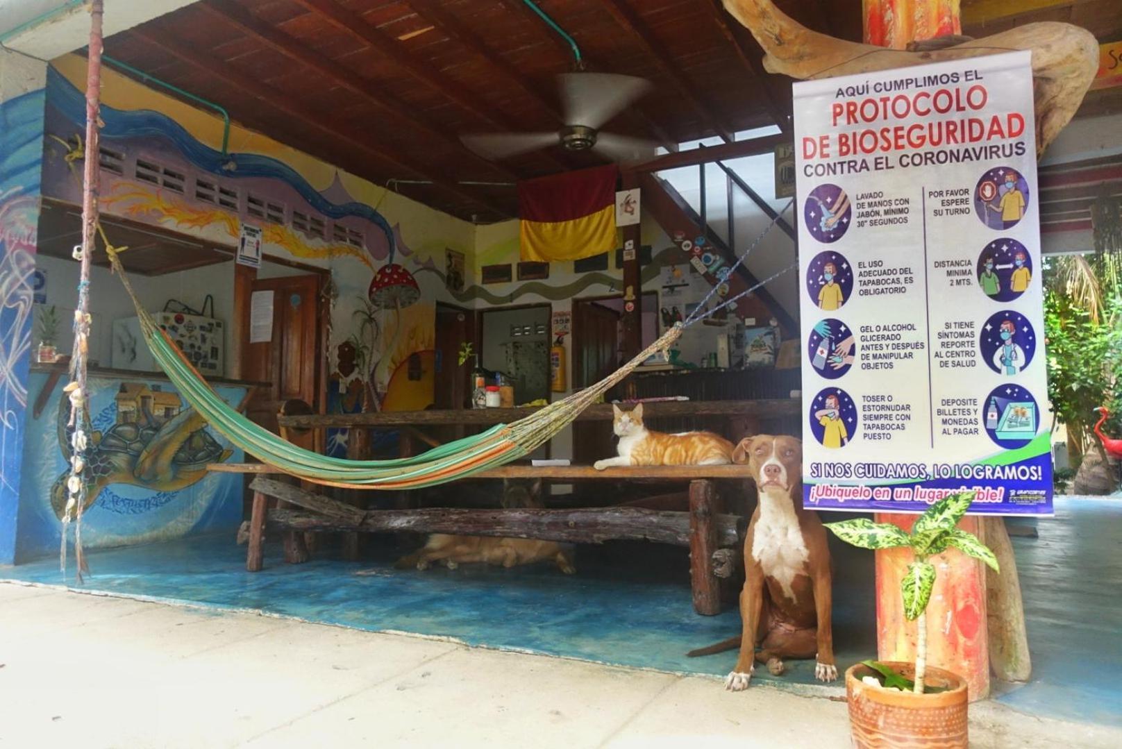 ホテル Casa Surf Mar Azul パロミノ エクステリア 写真